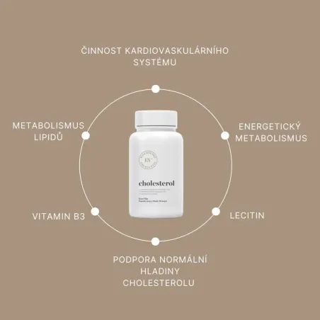 Cholesterol 90 kapslí benefity