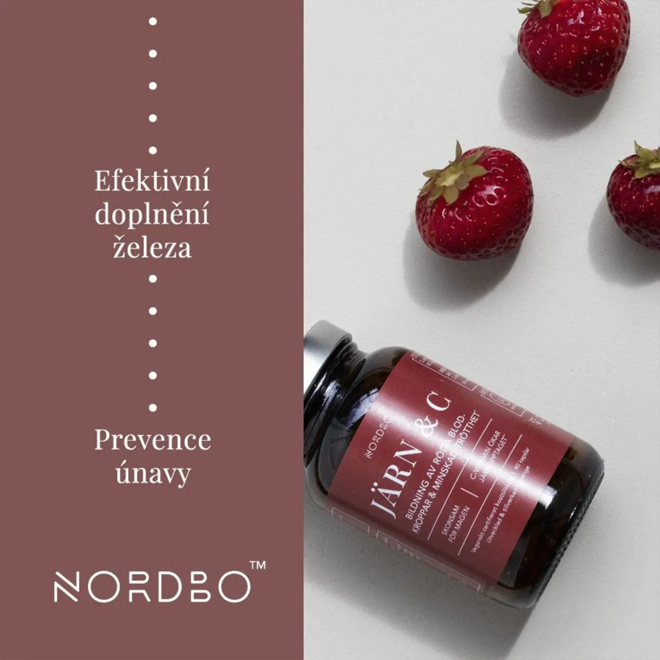 Železo a Vitamín C 90 kapslí obsah