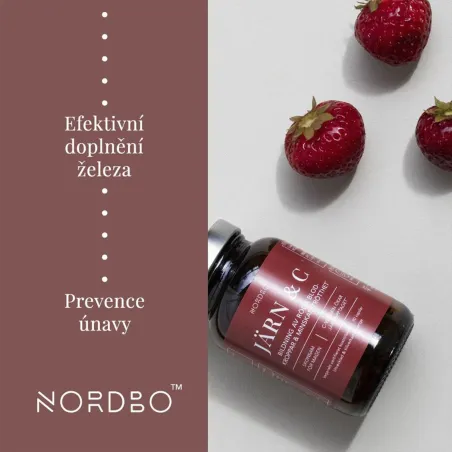 Železo a Vitamín C 90 kapslí obsah