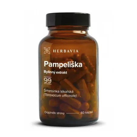 Pampeliška kořen (Dandelion root) extrakt 60 kapslí